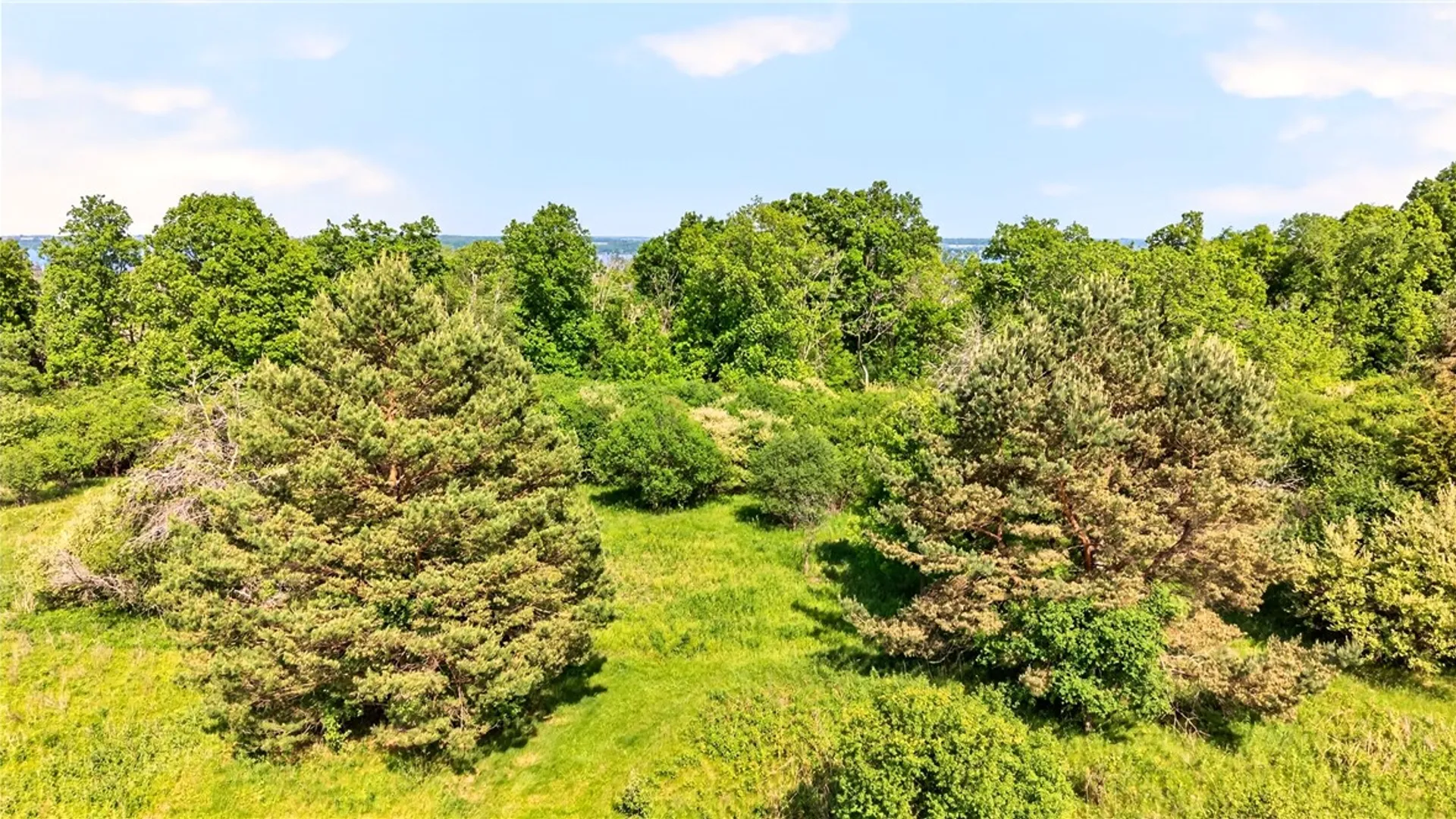 Property at 0 Turk Rd Extension, Geneva Town, NY 14456 19