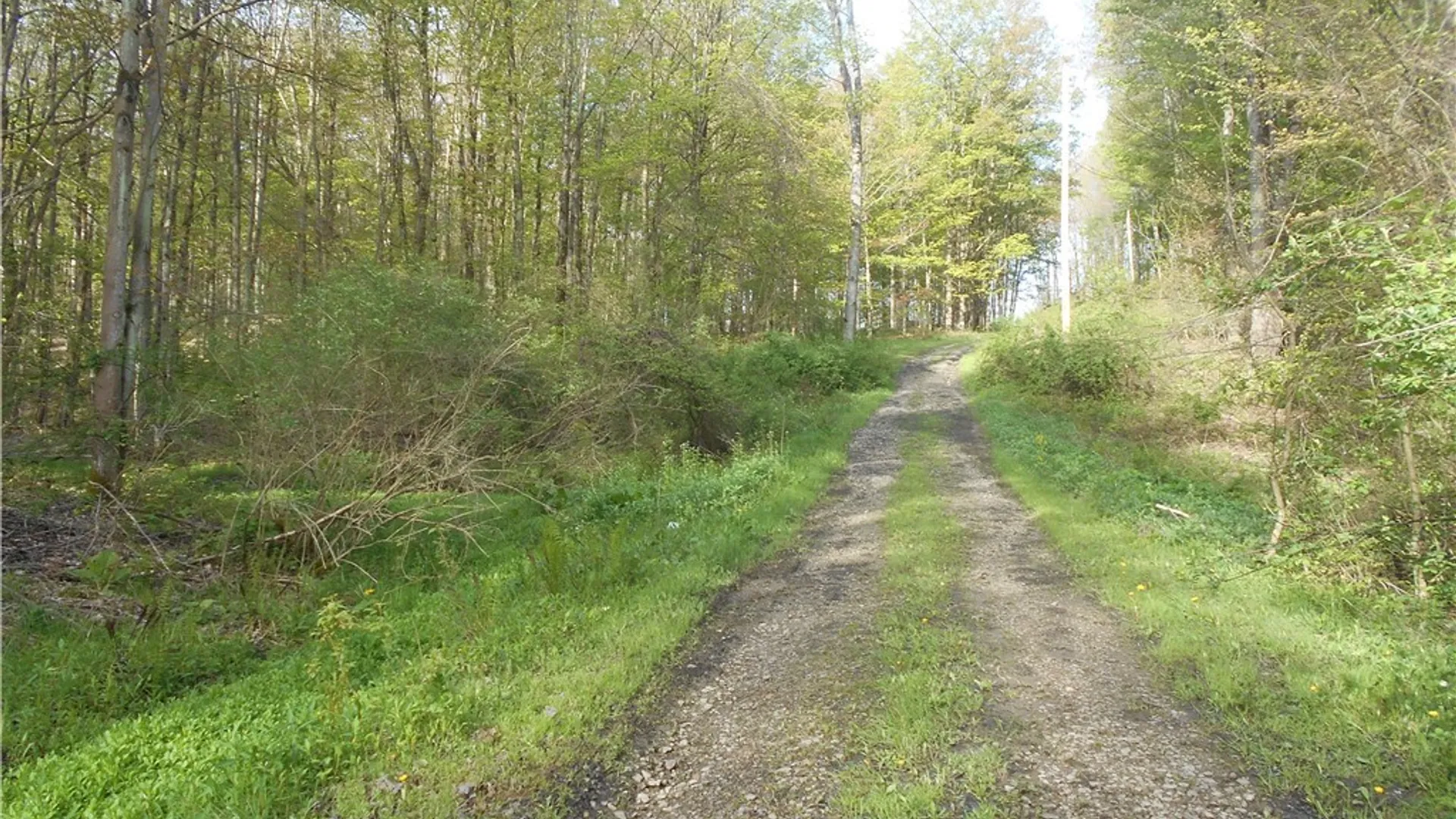 Property at 0 Neamon Drive, Yorkshire, NY 14042 3