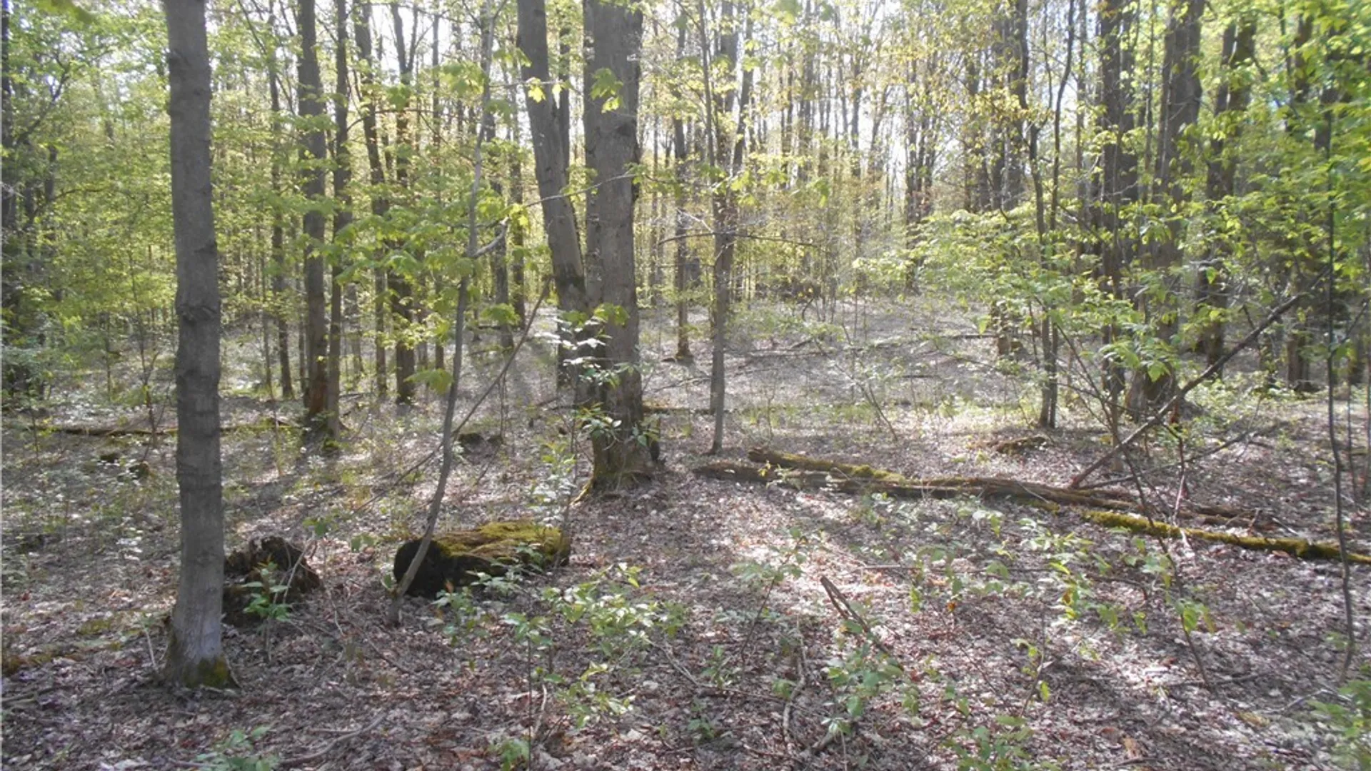 Property at 0 Neamon Drive, Yorkshire, NY 14042 5