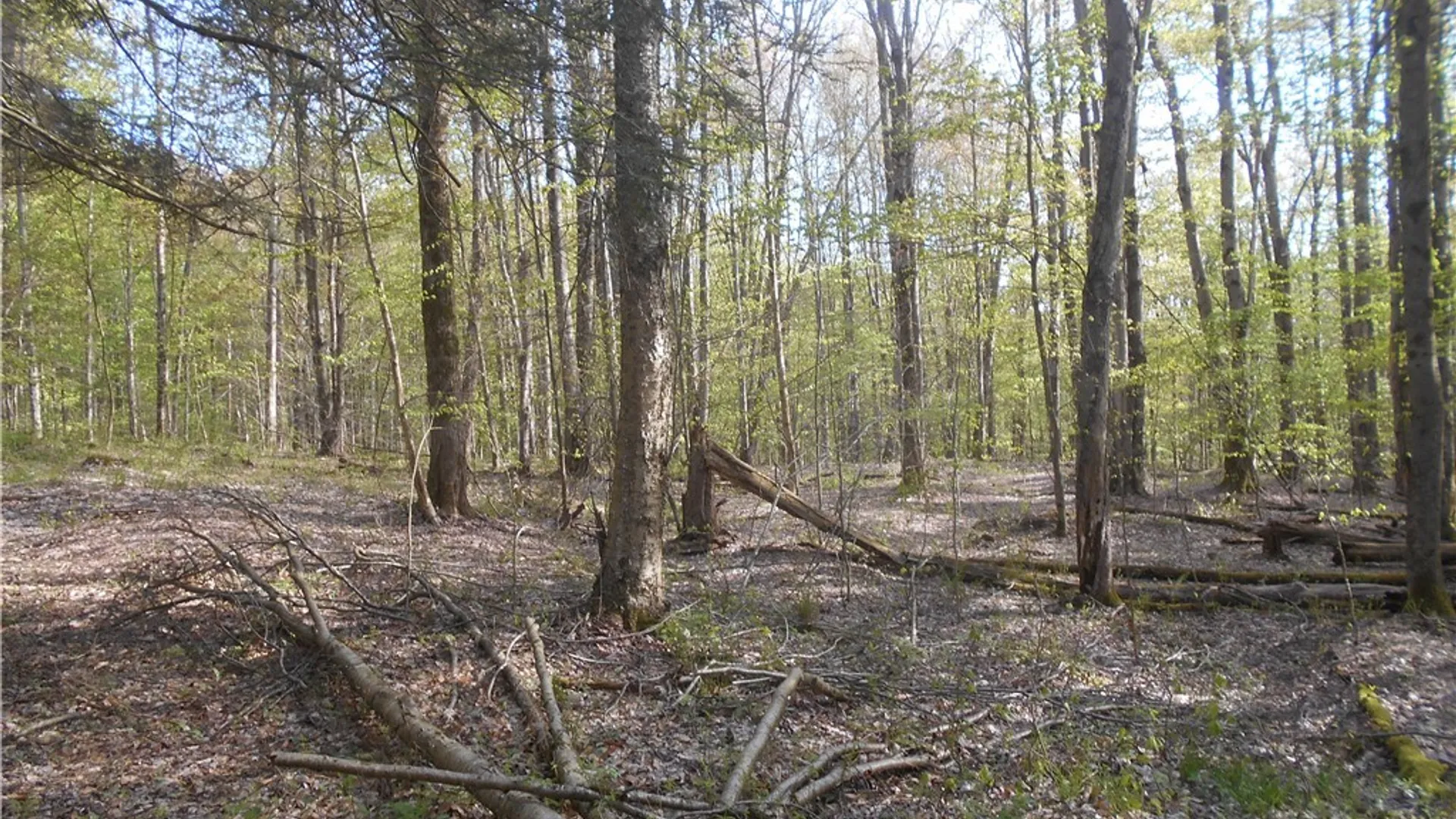 Property at 0 Neamon Drive, Yorkshire, NY 14042 9
