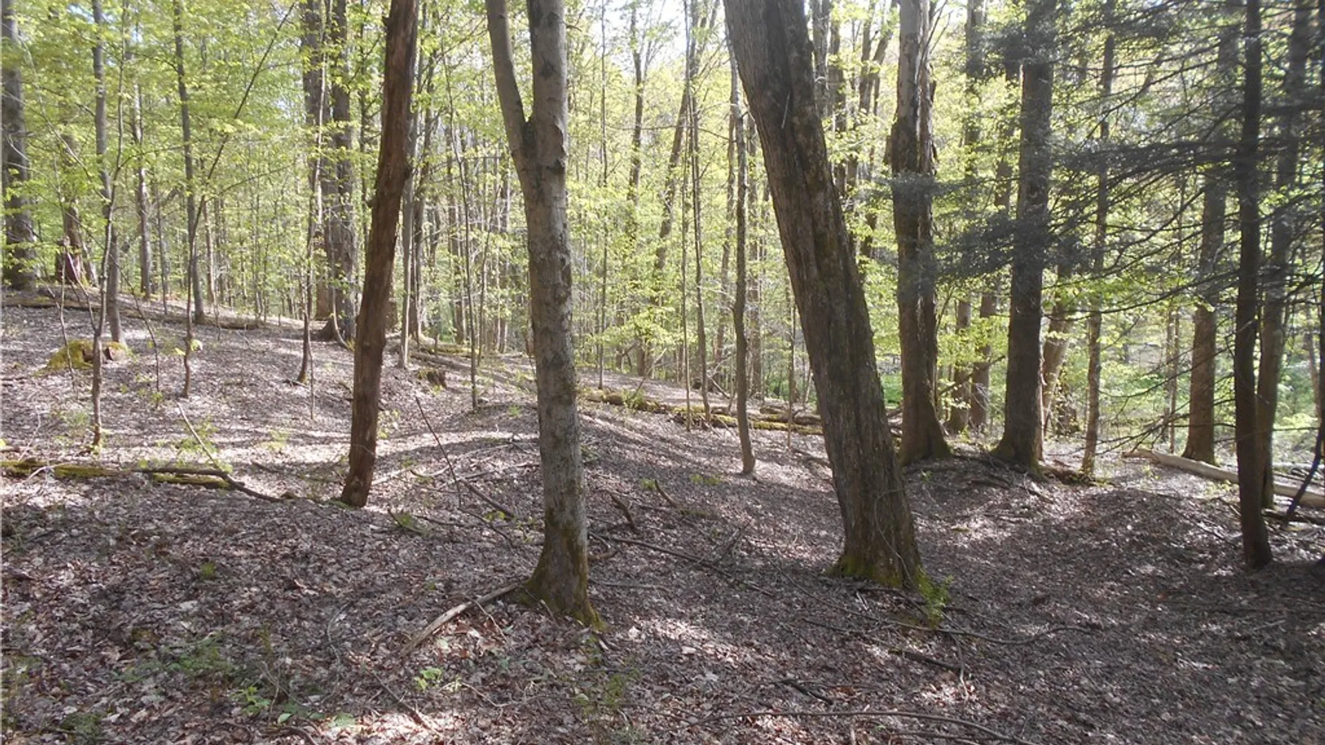 Property at 0 Neamon Drive, Yorkshire, NY 14042 14