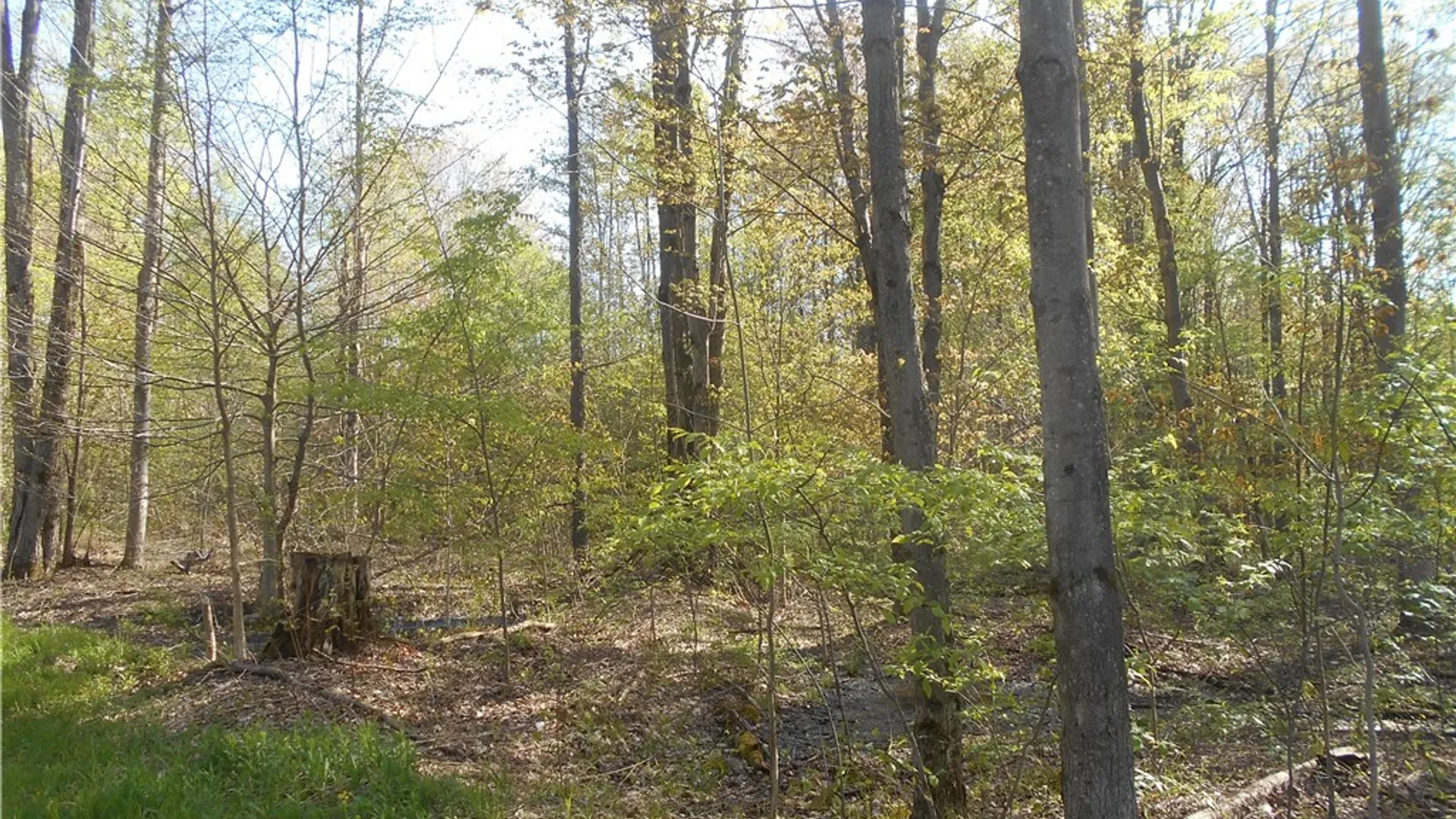 Property at 0 Neamon Drive, Yorkshire, NY 14042 25