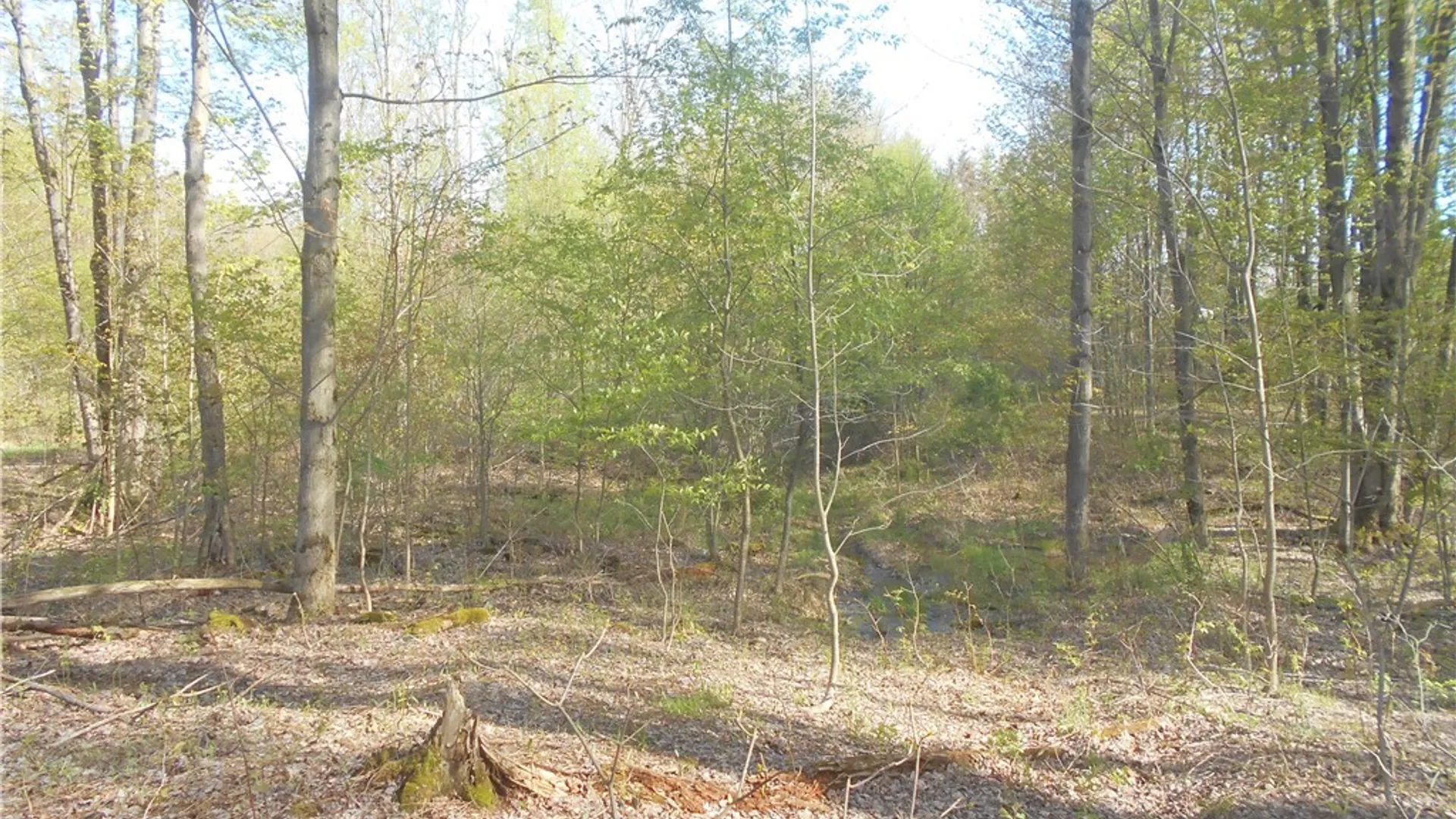 Property at 0 Neamon Drive, Yorkshire, NY 14042 26