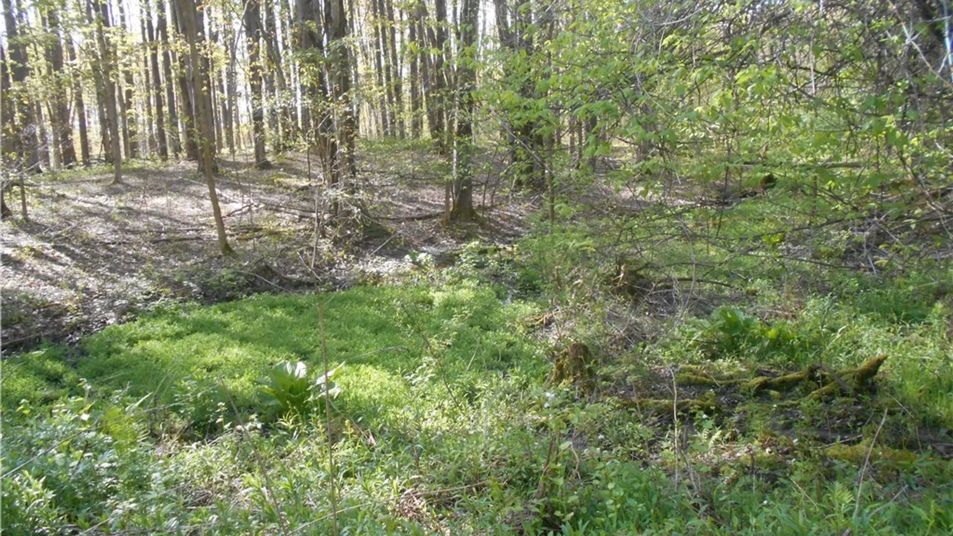 Property at 0 Neamon Drive, Yorkshire, NY 14042 32