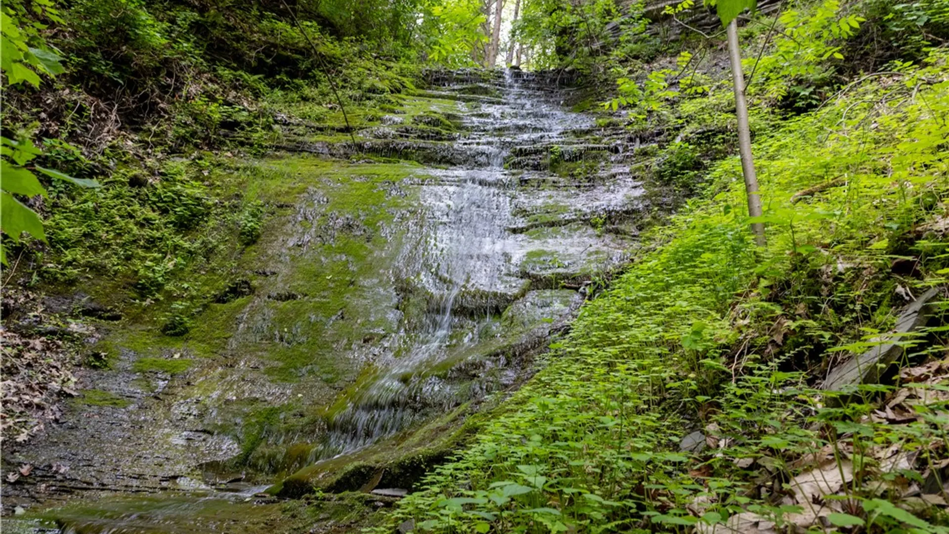 Property at 1937 State Route 245, Italy, NY 14513 8