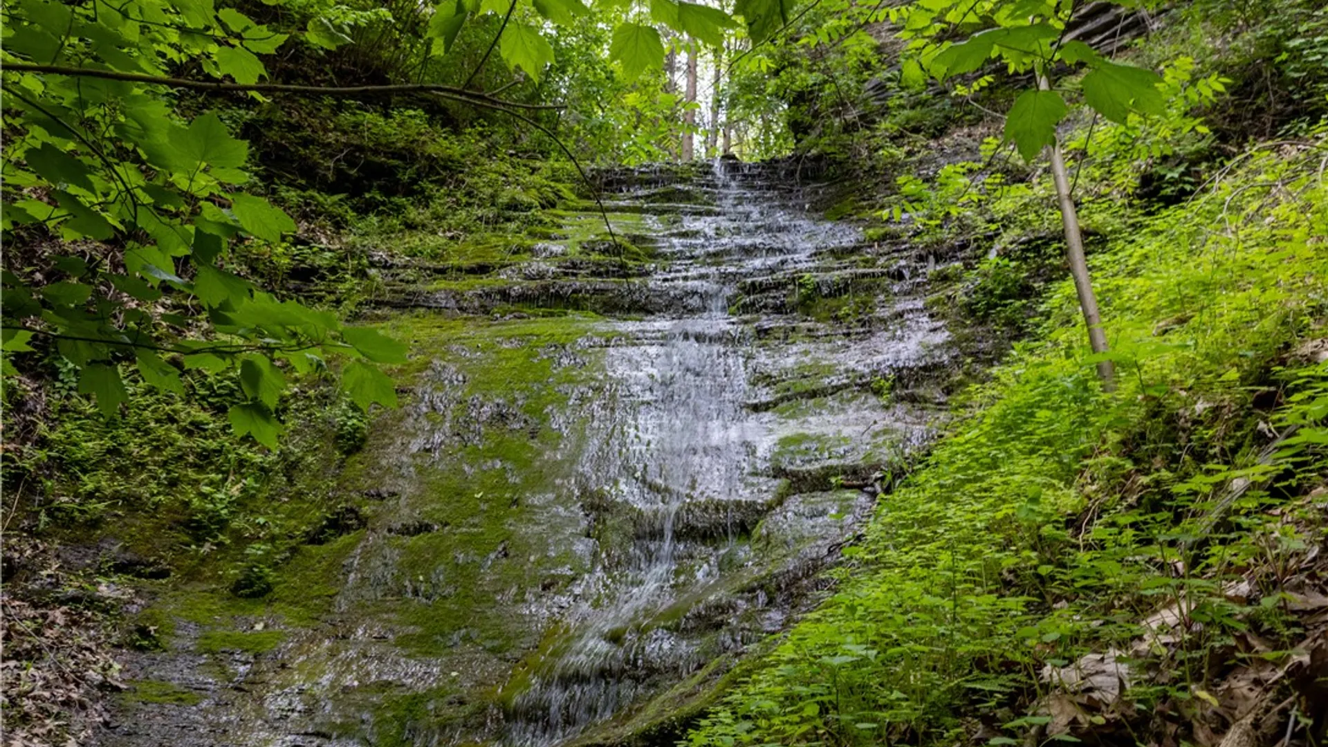 Property at 1937 State Route 245, Italy, NY 14513 9