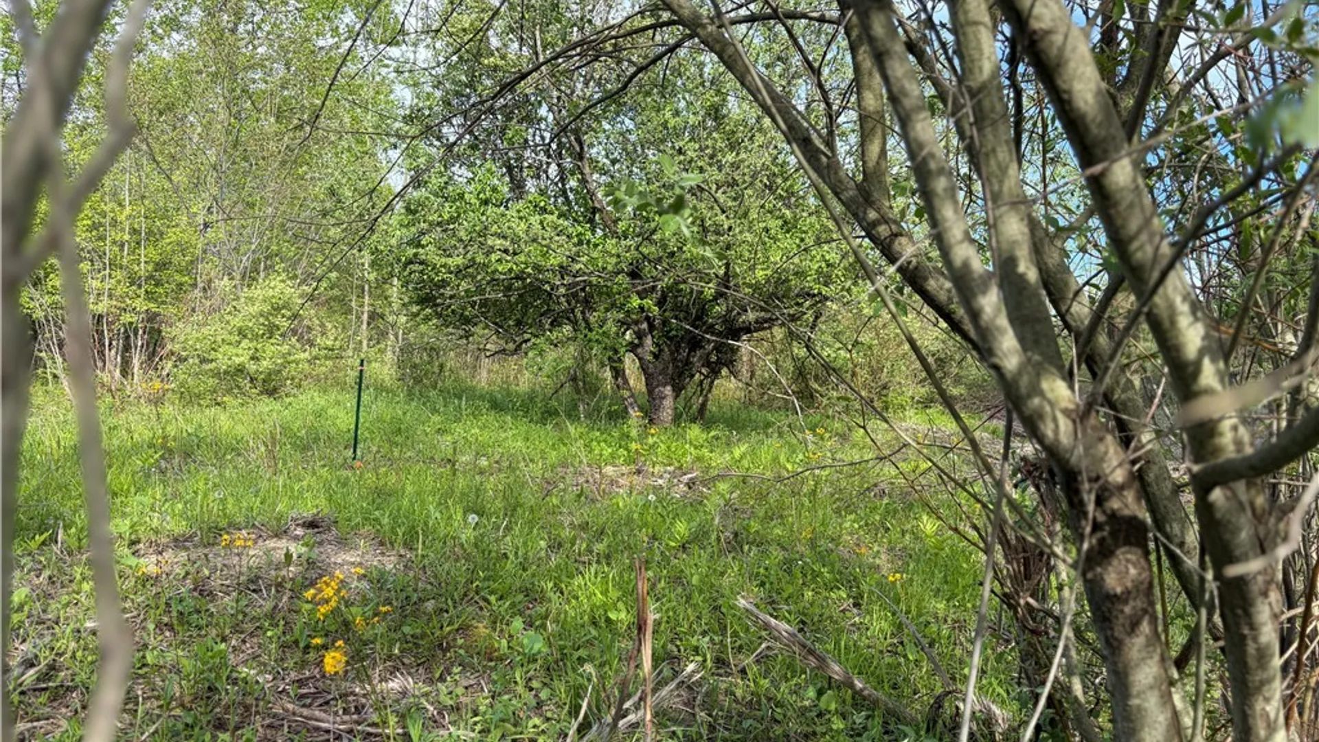 Property at 0 Deer Pond Acres Lot #38, Orangeville, NY 14569 3