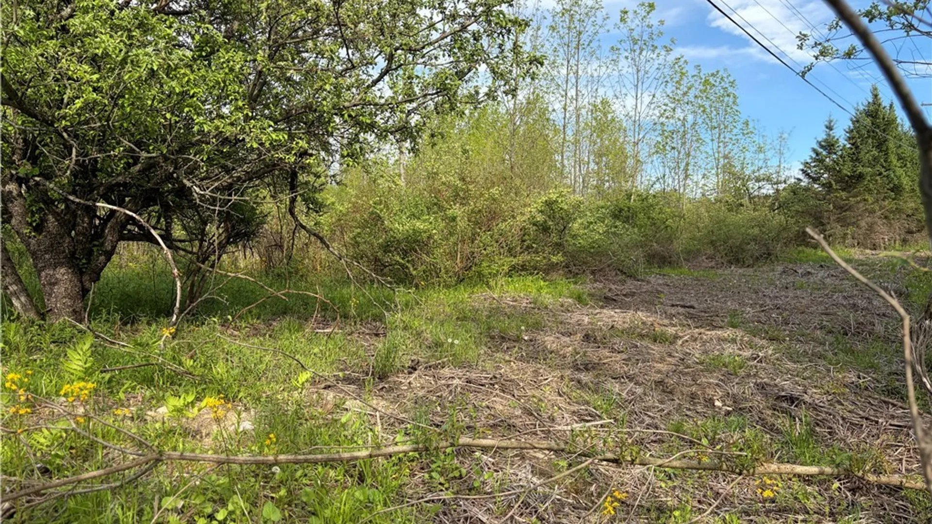 Property at 0 Deer Pond Acres Lot #38, Orangeville, NY 14569 4