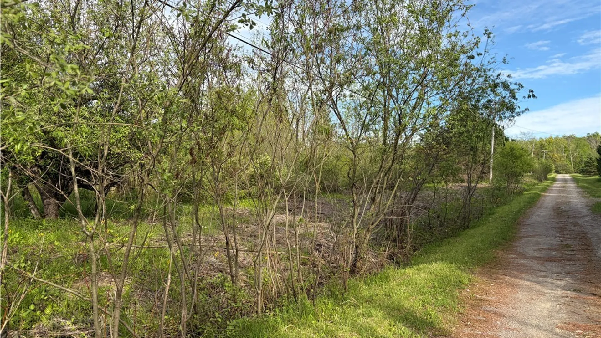 Property at 0 Deer Pond Acres Lot #38, Orangeville, NY 14569 5