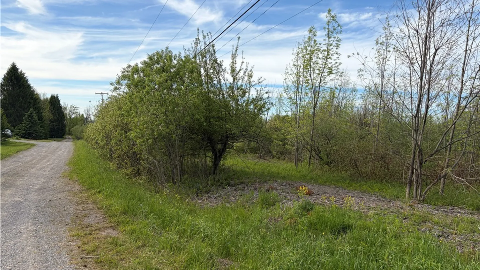 Property at 0 Deer Pond Acres Lot #38, Orangeville, NY 14569 6