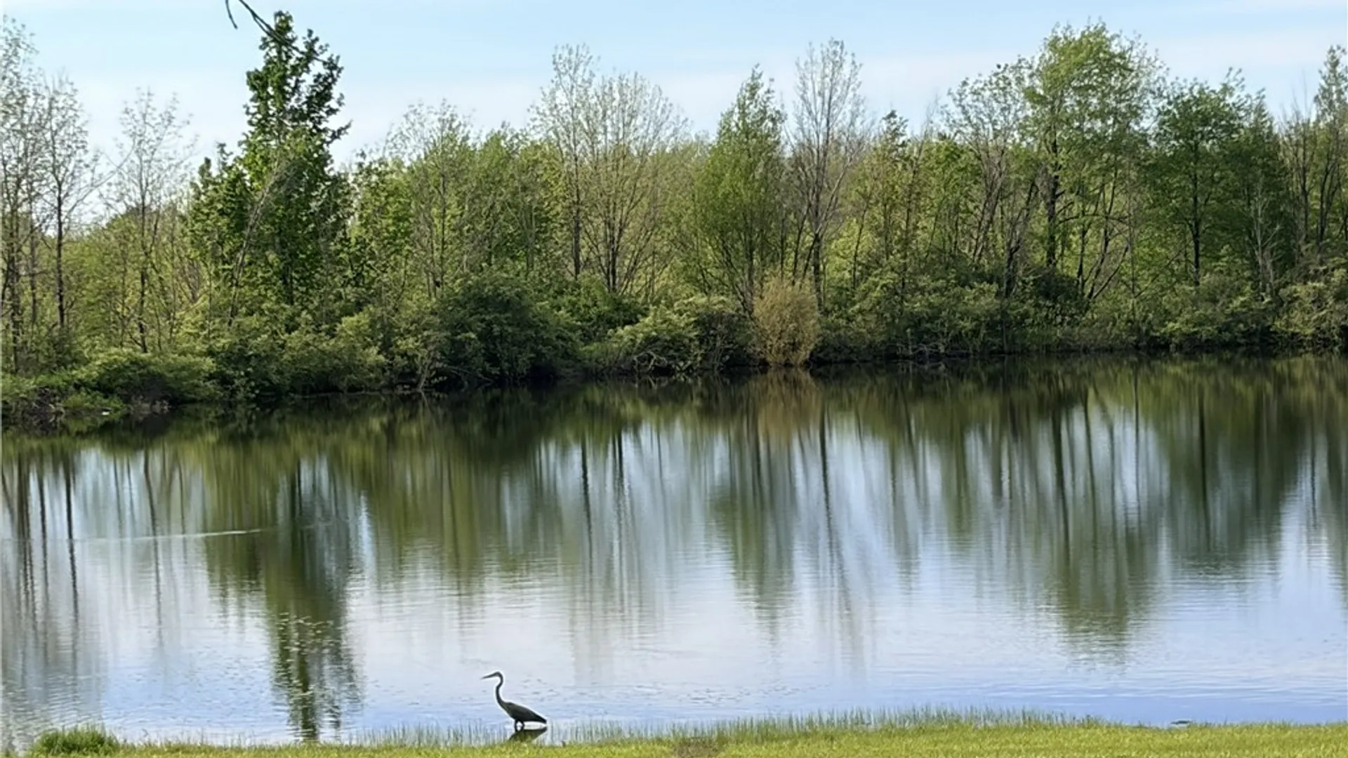 Property at 0 Deer Pond Acres Lot #38, Orangeville, NY 14569 10