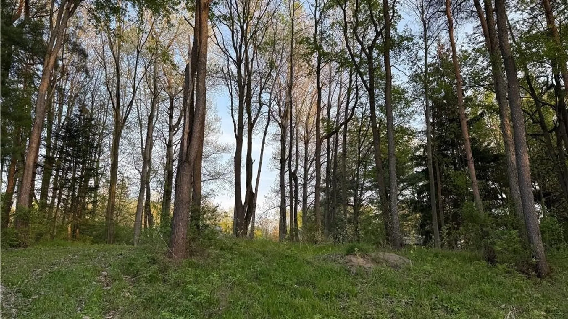 Property at 15189 Valley Drive, Clayton, NY 13624 3