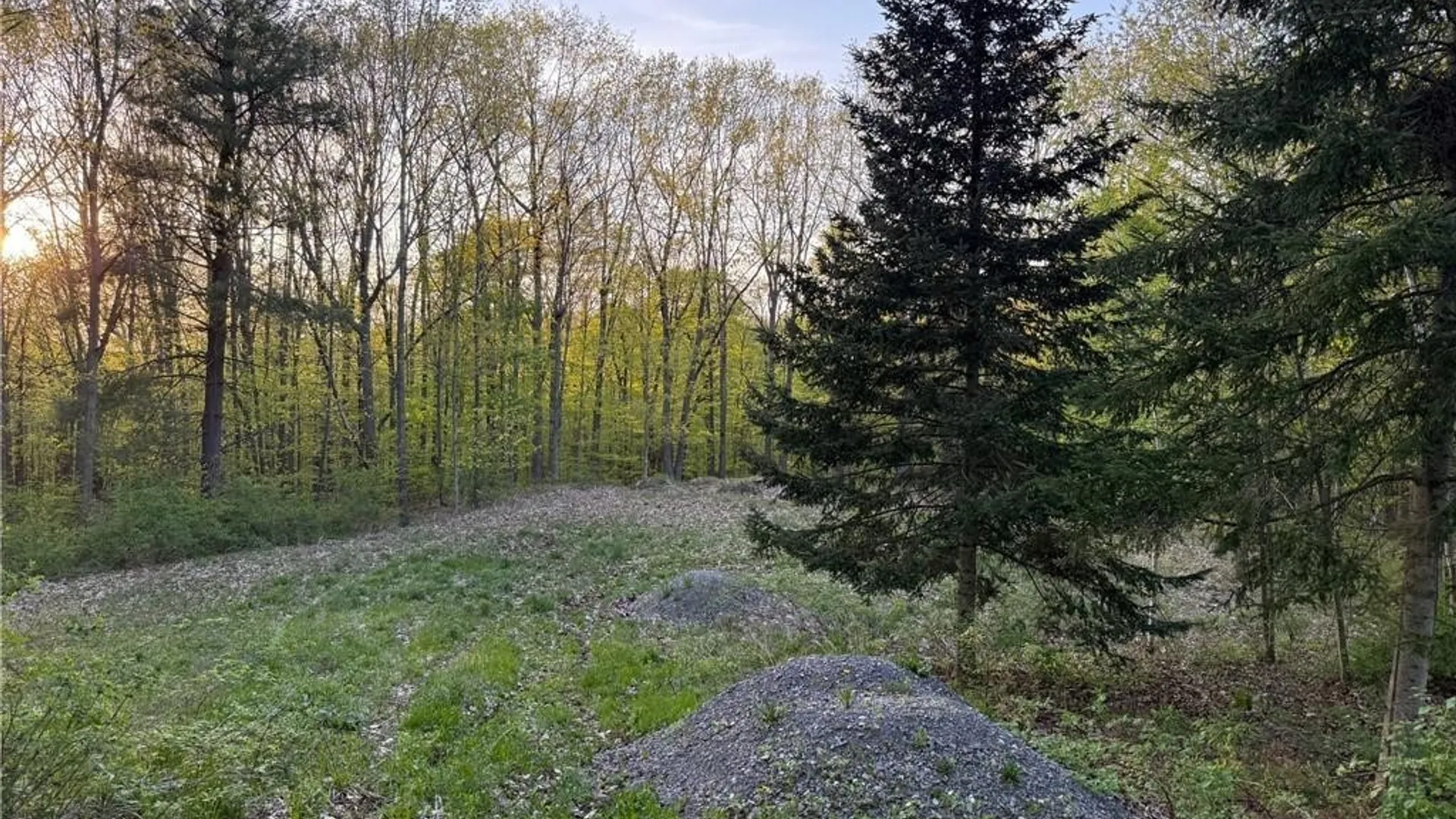 Property at 15189 Valley Drive, Clayton, NY 13624 6