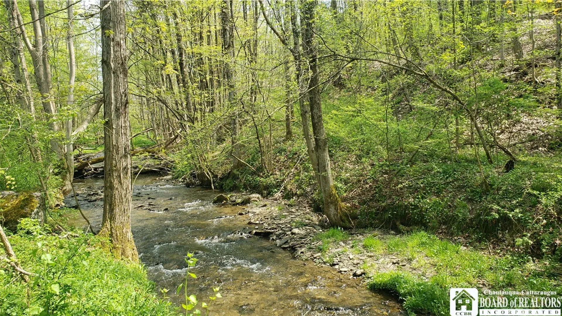 Property at 3981 Route 394, Cold Spring, NY 14772 36