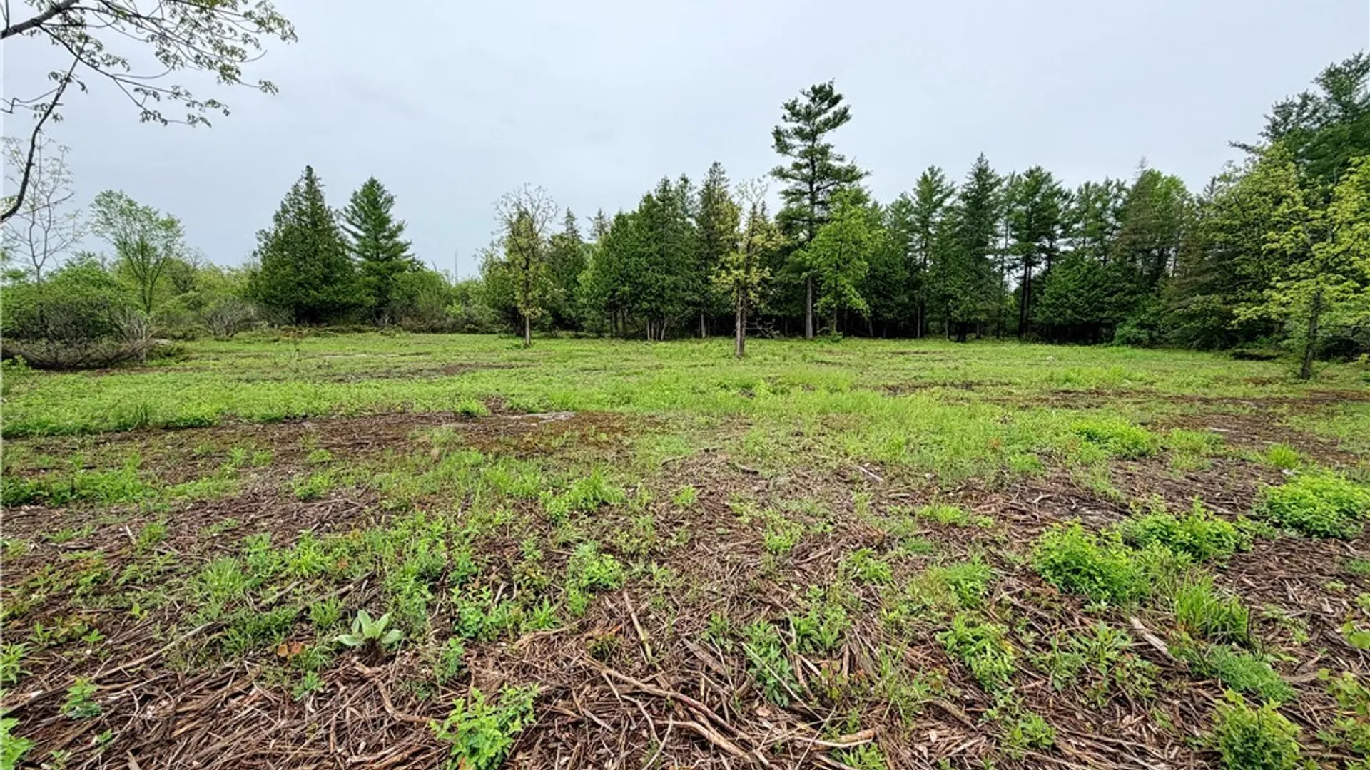 Property at County Rte 8, Cape Vincent, NY 13618 3