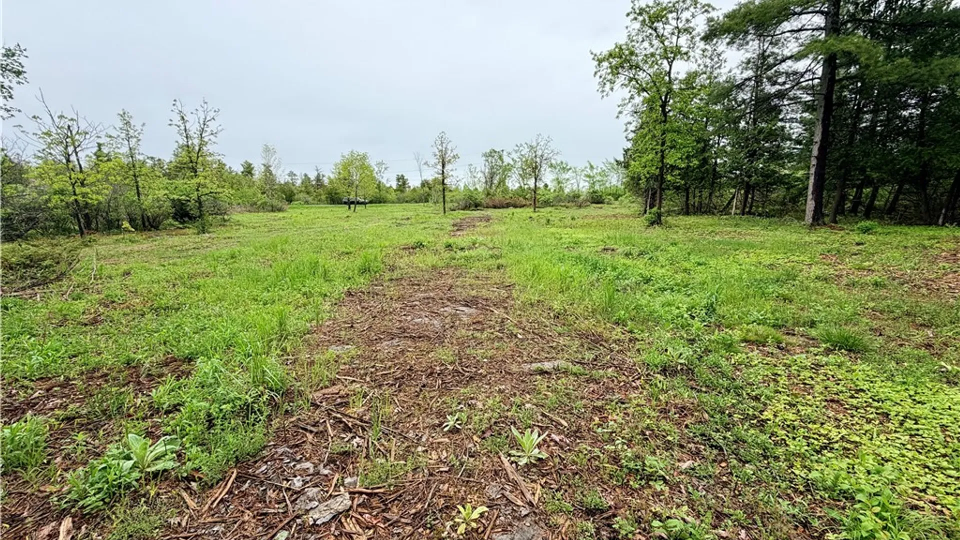 Property at County Rte 8, Cape Vincent, NY 13618 5