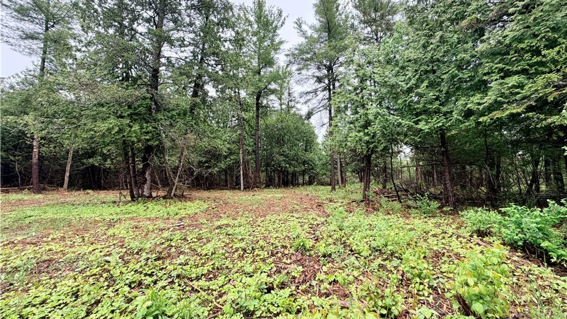 Property at County Rte 8, Cape Vincent, NY 13618 6