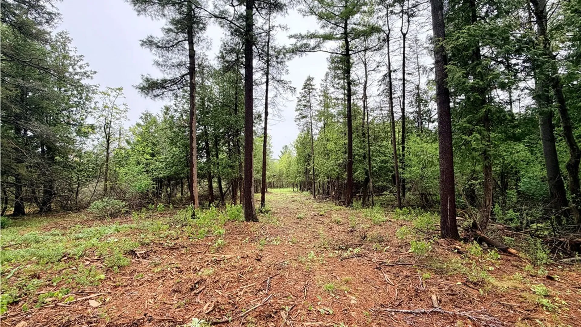 Property at County Rte 8, Cape Vincent, NY 13618 7