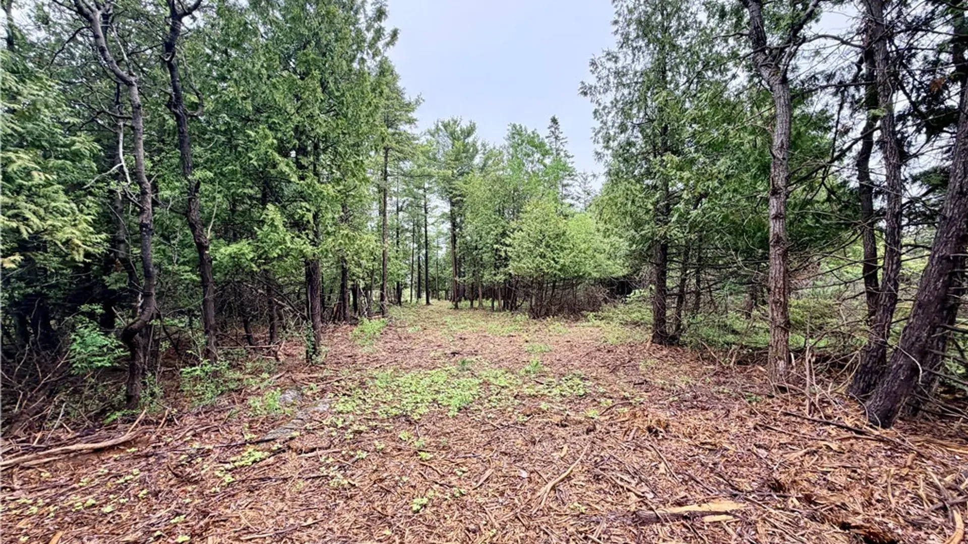 Property at County Rte 8, Cape Vincent, NY 13618 9