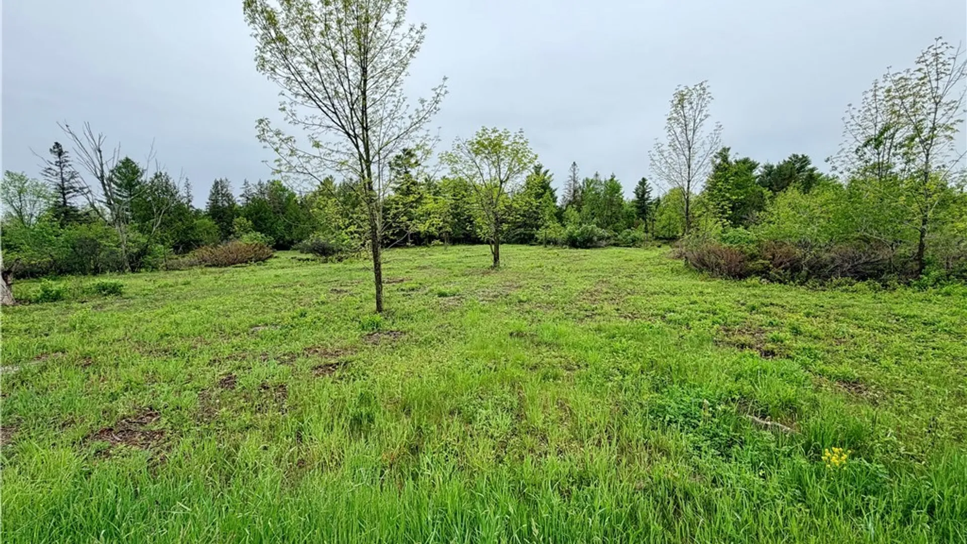 Property at County Rte 8, Cape Vincent, NY 13618 10
