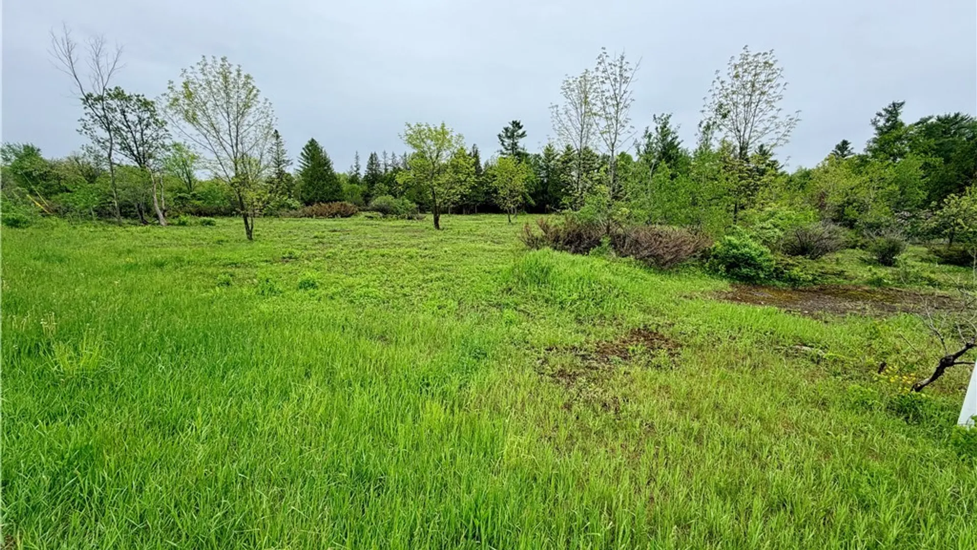 Property at County Rte 8, Cape Vincent, NY 13618 11