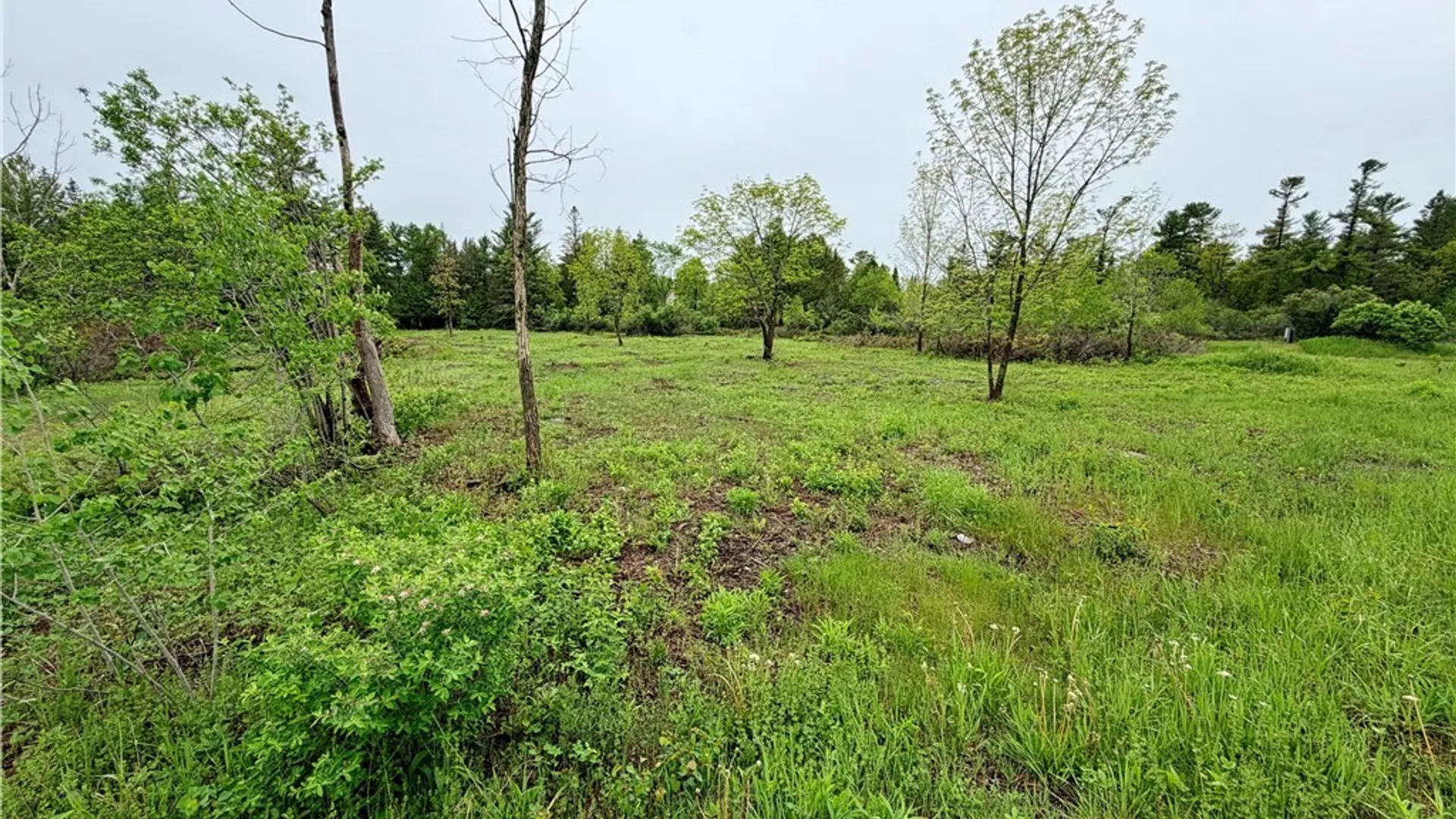Property at County Rte 8, Cape Vincent, NY 13618 12