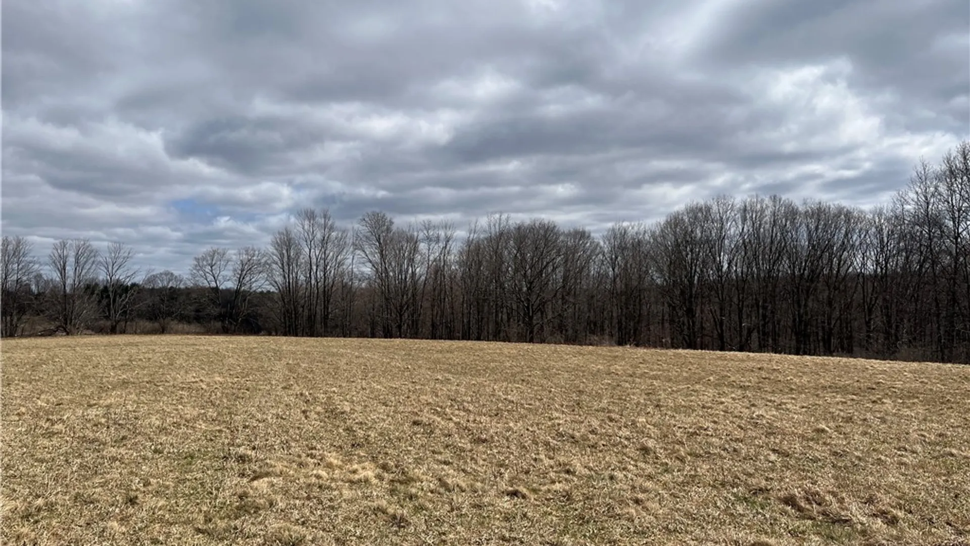 Property at 326 Park Hill Road, Erin, NY 14838 44