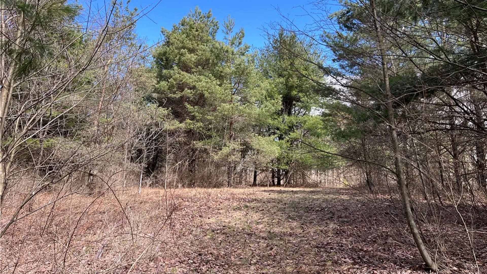 Property at 326 Park Hill Road, Erin, NY 14838 46