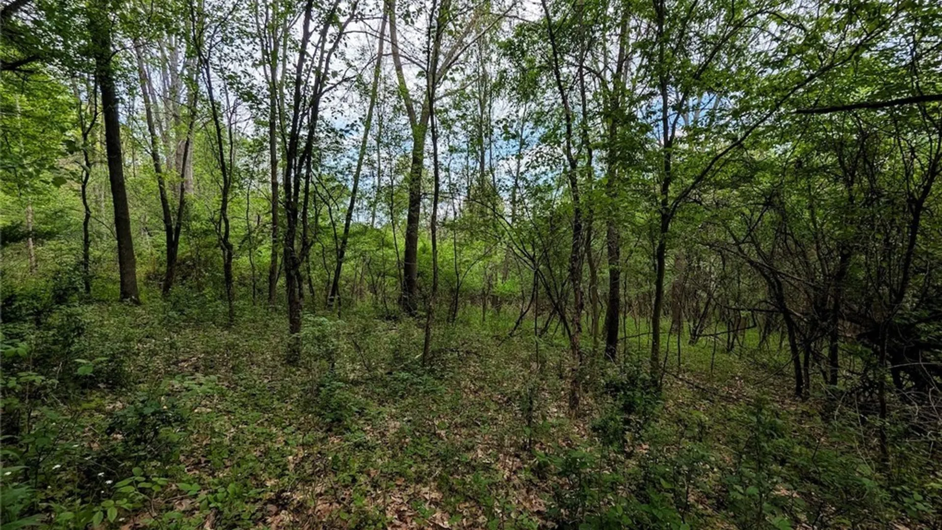 Property at N Main Extension, Hornellsville, NY 14843 14
