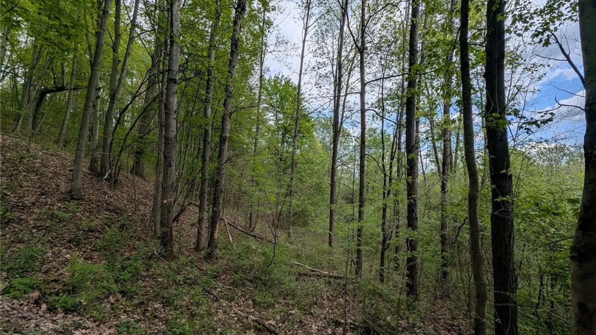 Property at N Main Extension, Hornellsville, NY 14843 16