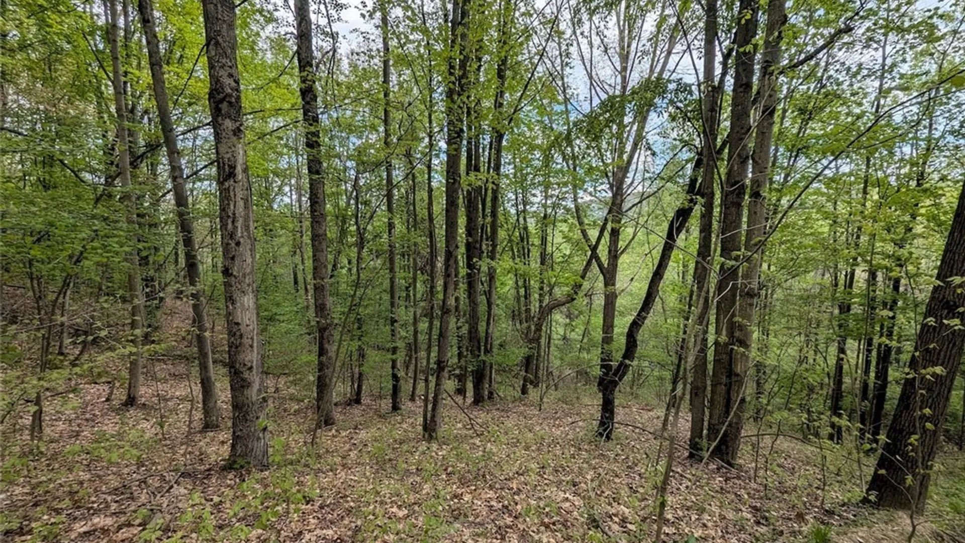Property at N Main Extension, Hornellsville, NY 14843 17