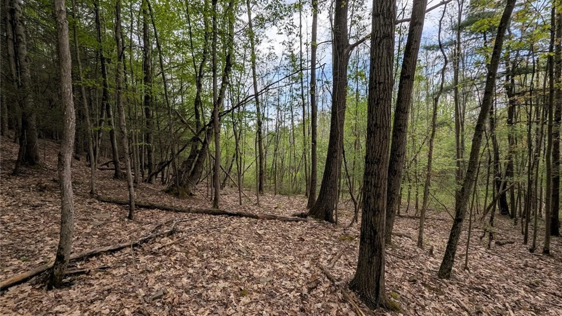 Property at N Main Extension, Hornellsville, NY 14843 19