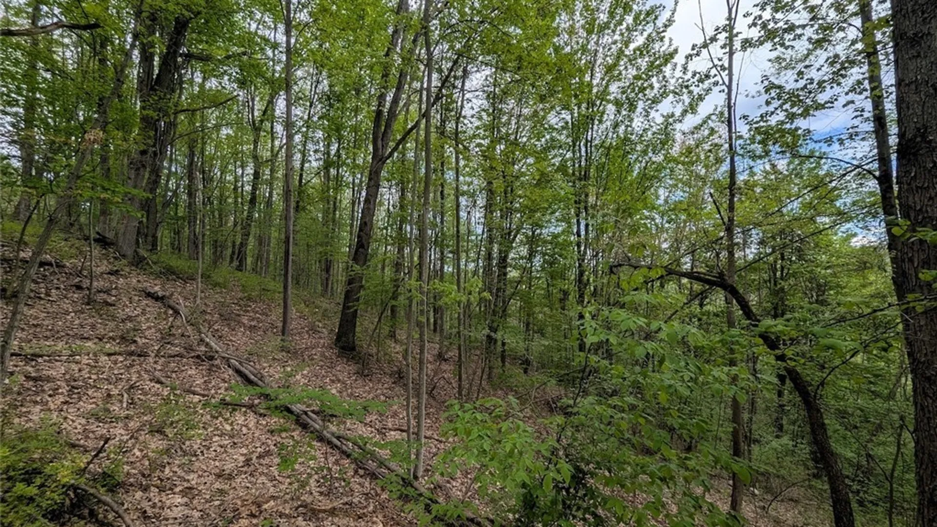 Property at N Main Extension, Hornellsville, NY 14843 20