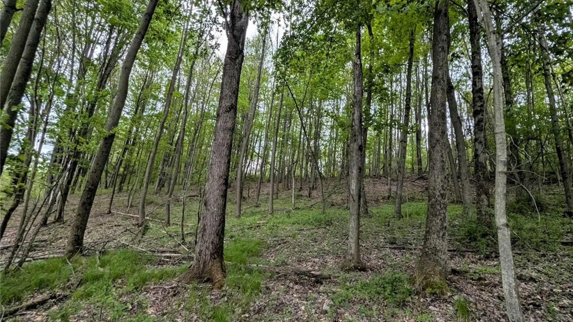 Property at N Main Extension, Hornellsville, NY 14843 23