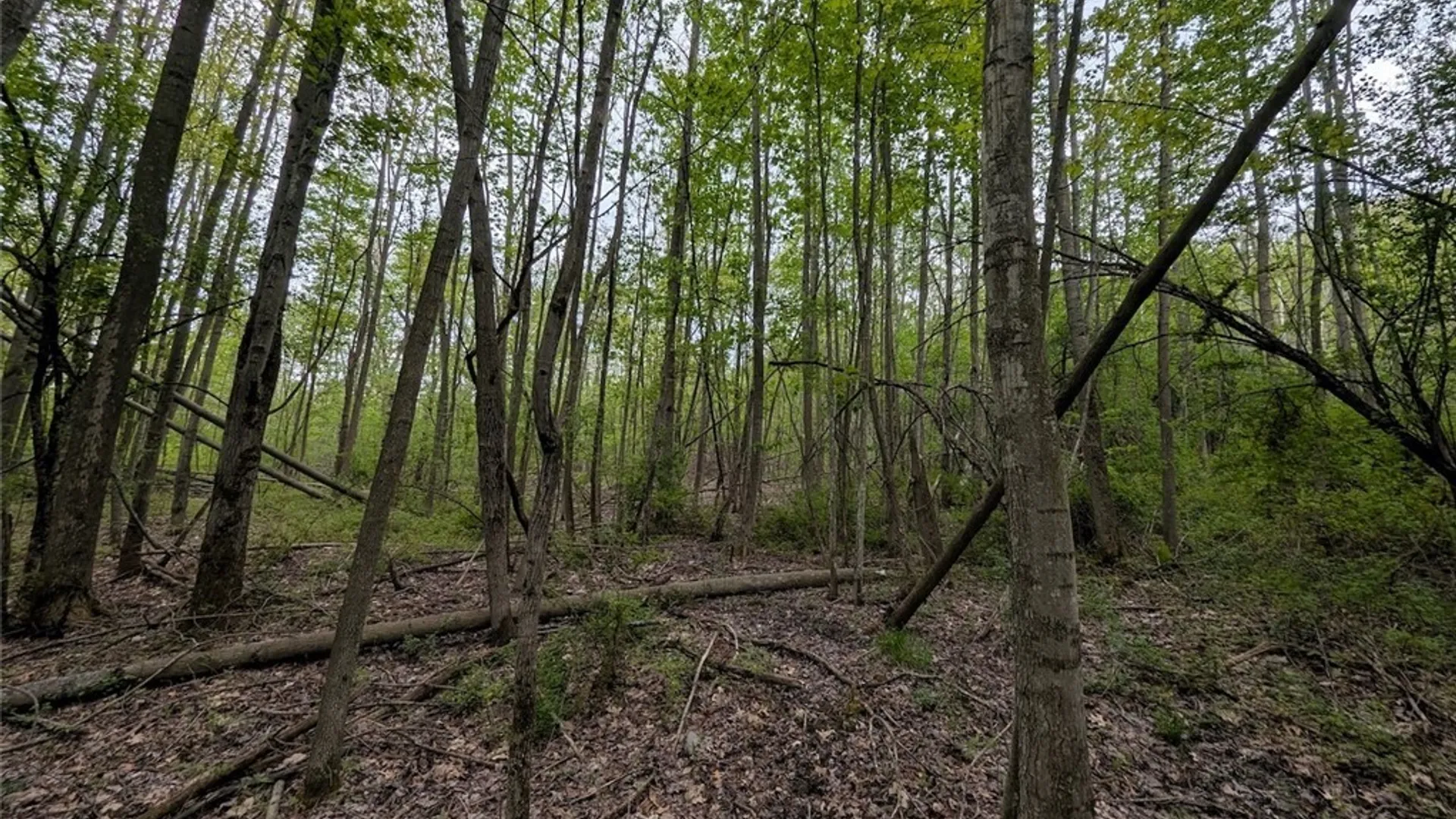 Property at N Main Extension, Hornellsville, NY 14843 24