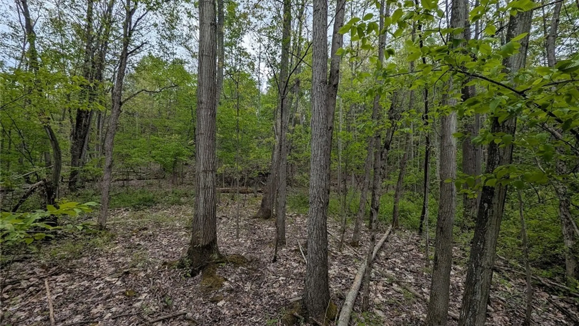 Property at N Main Extension, Hornellsville, NY 14843 25