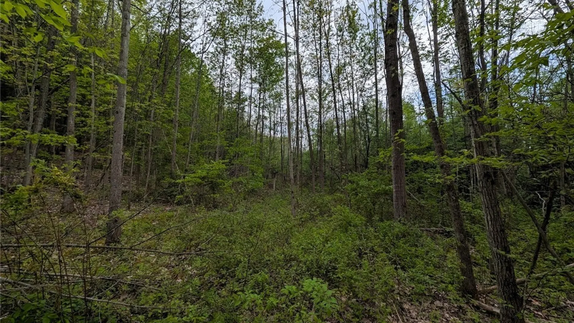 Property at N Main Extension, Hornellsville, NY 14843 26