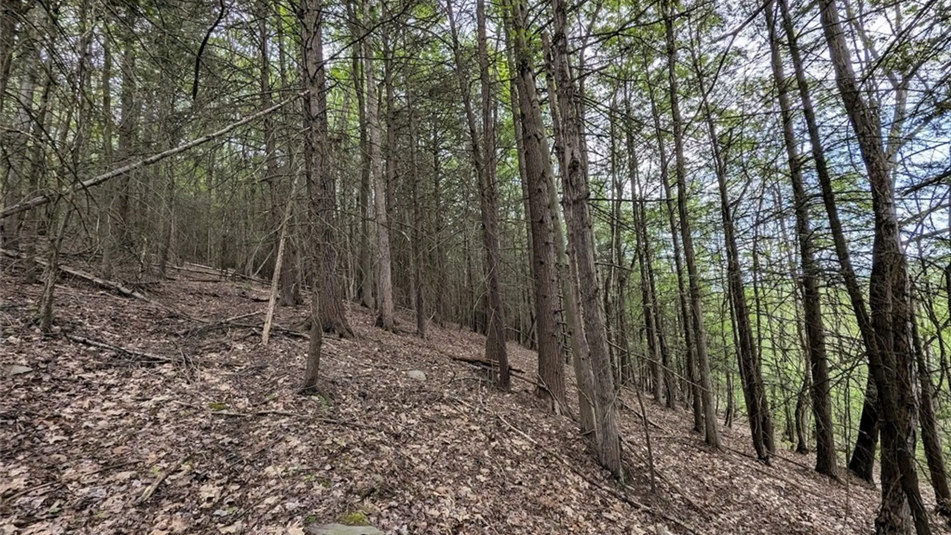 Property at N Main Extension, Hornellsville, NY 14843 27