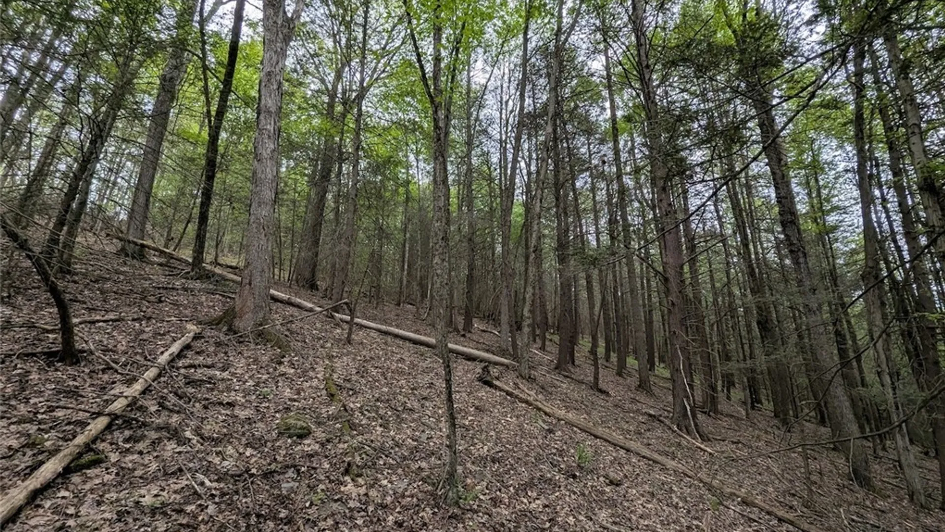 Property at N Main Extension, Hornellsville, NY 14843 28