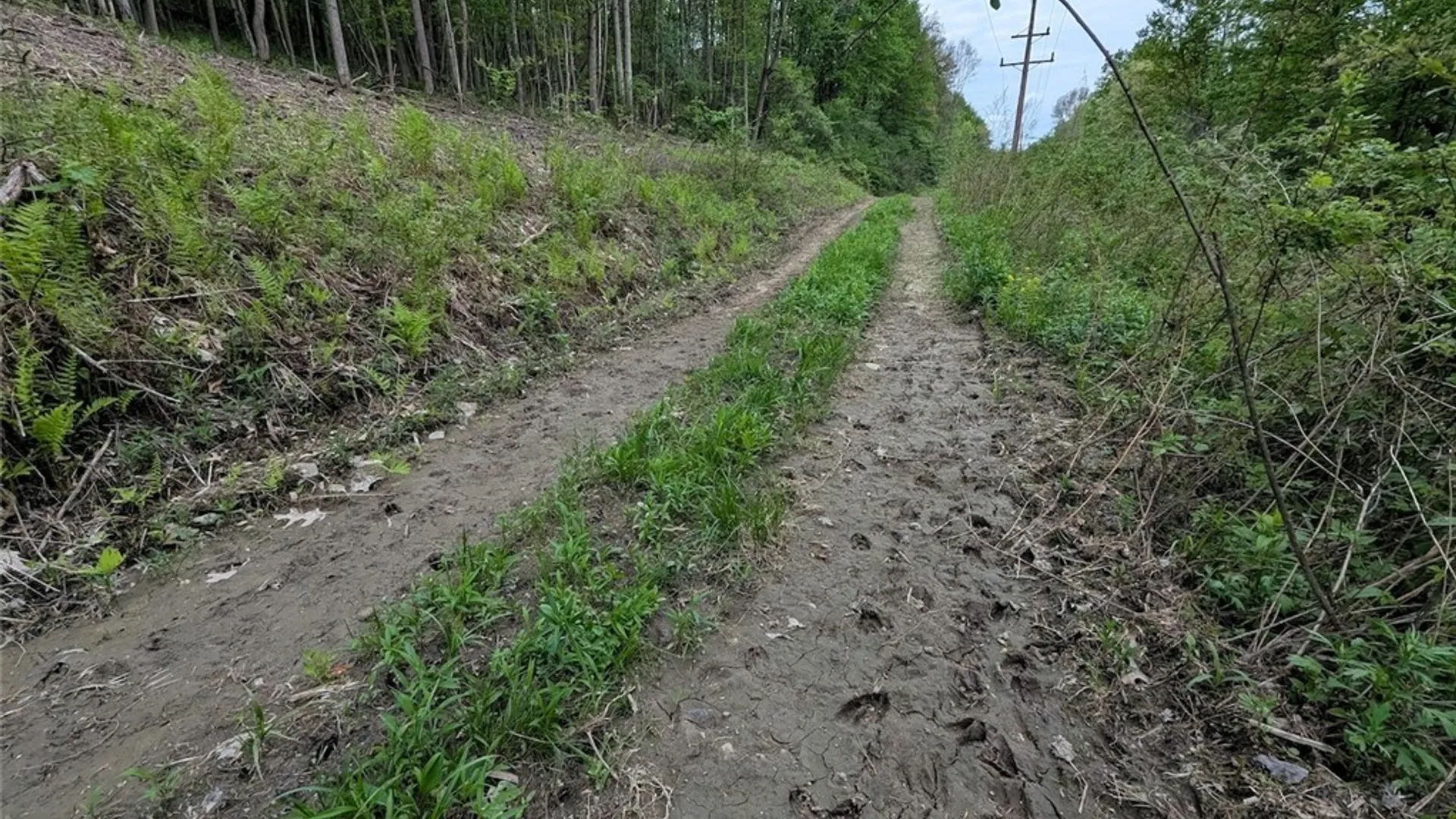 Property at N Main Extension, Hornellsville, NY 14843 29