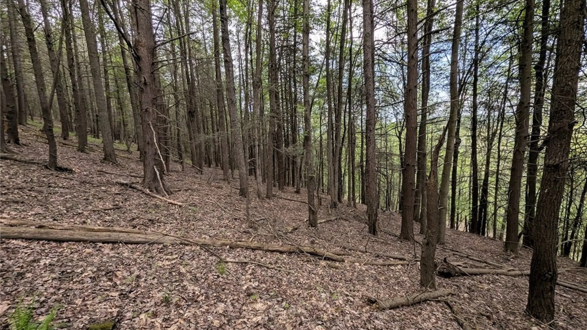 Property at N Main Extension, Hornellsville, NY 14843 30