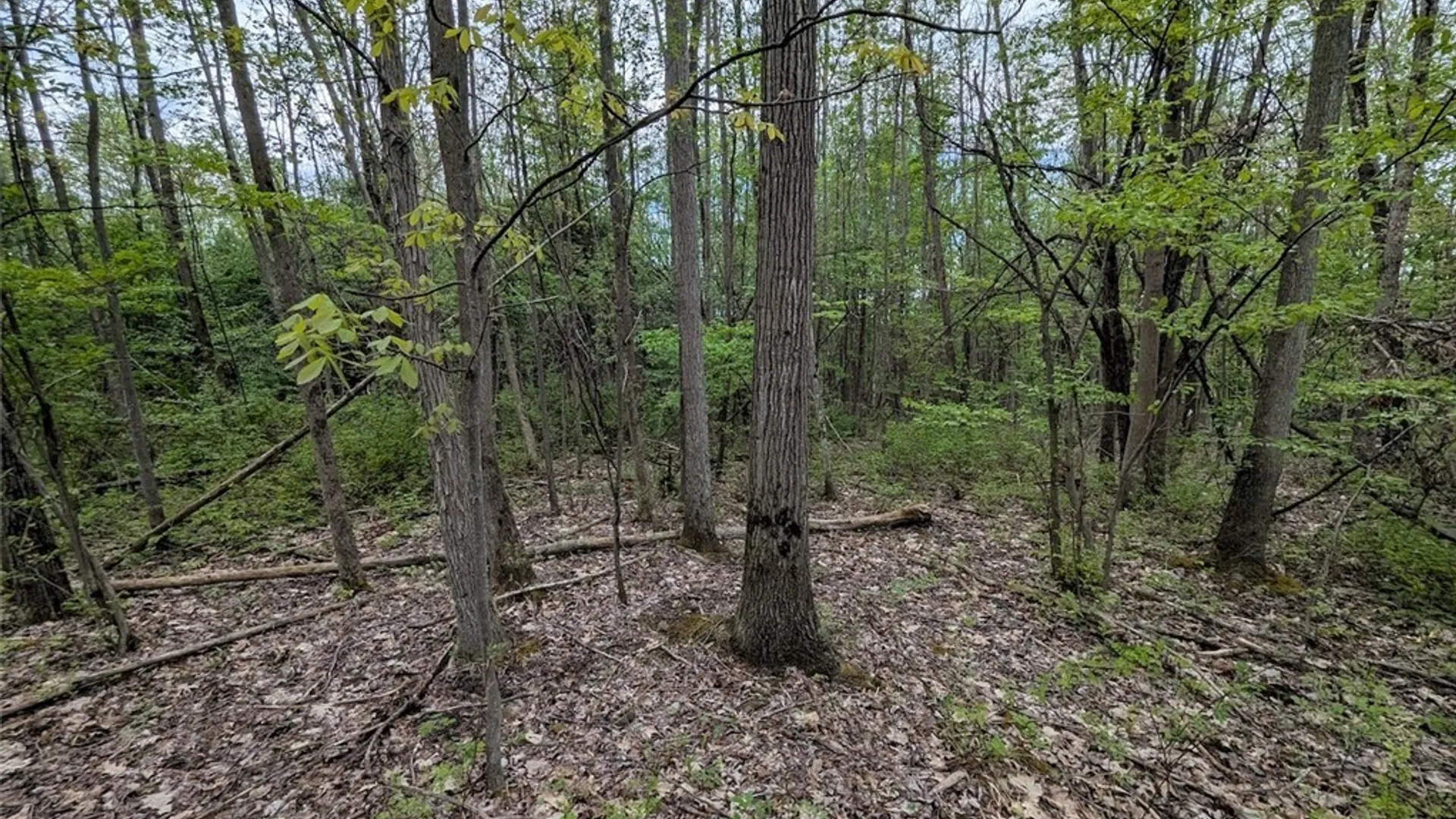 Property at N Main Extension, Hornellsville, NY 14843 31
