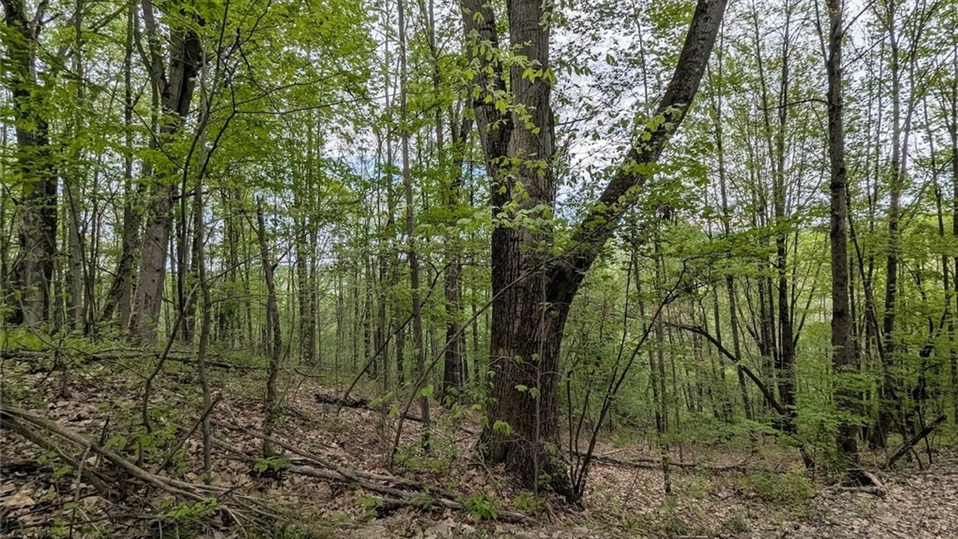 Property at N Main Extension, Hornellsville, NY 14843 32