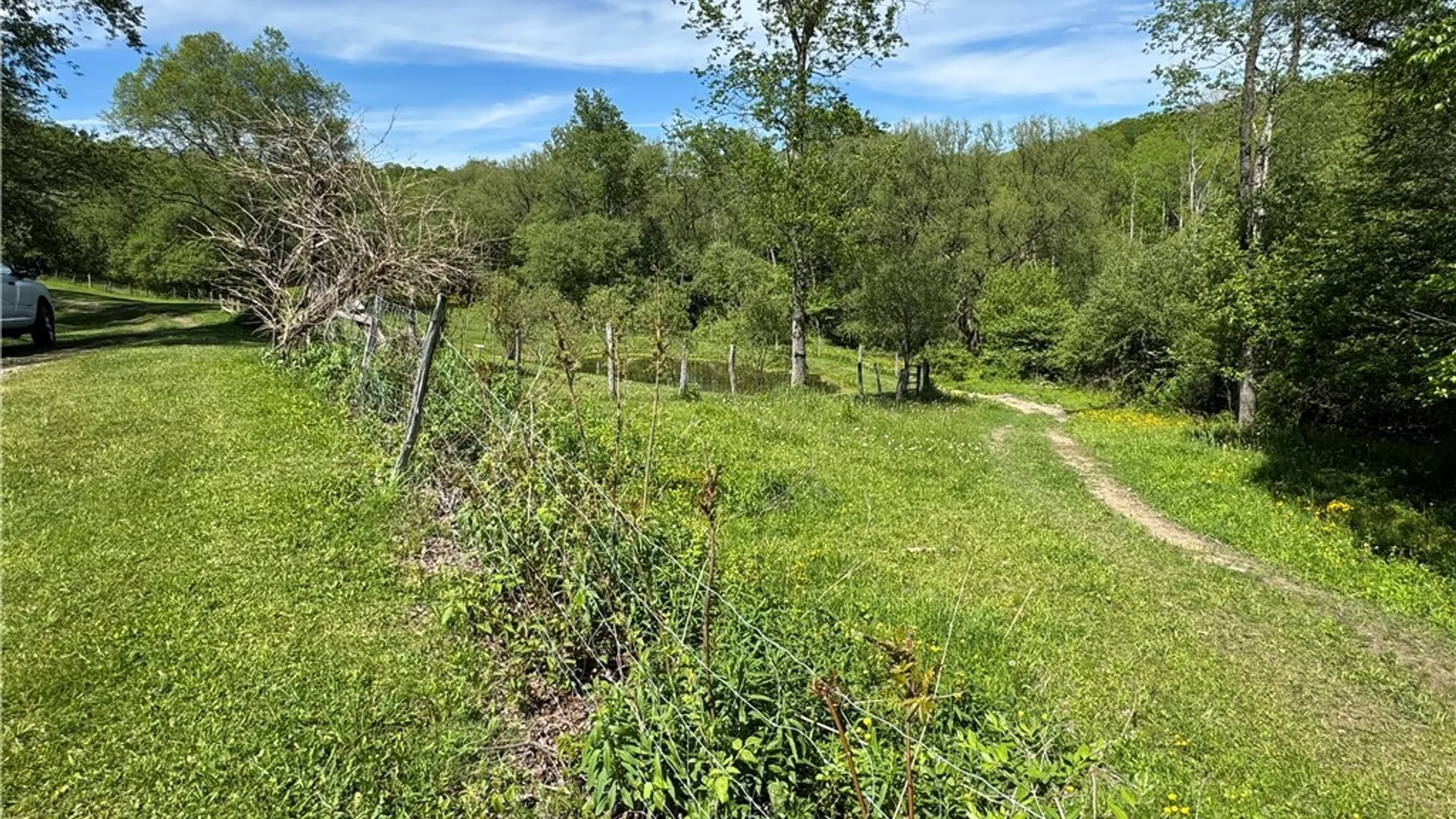 Property at 10900 Route 39, Sardinia, NY 14055 13