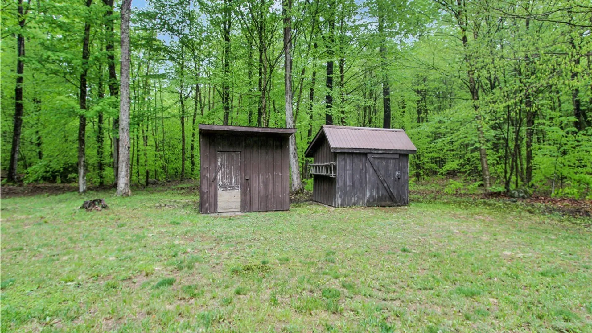 Property at 8745 Number Four Road, Watson, NY 13367 9