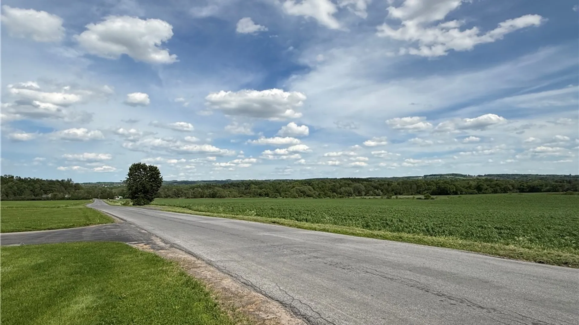 Property at 3234 NYS Route 12B, Kirkland, NY 13328 10