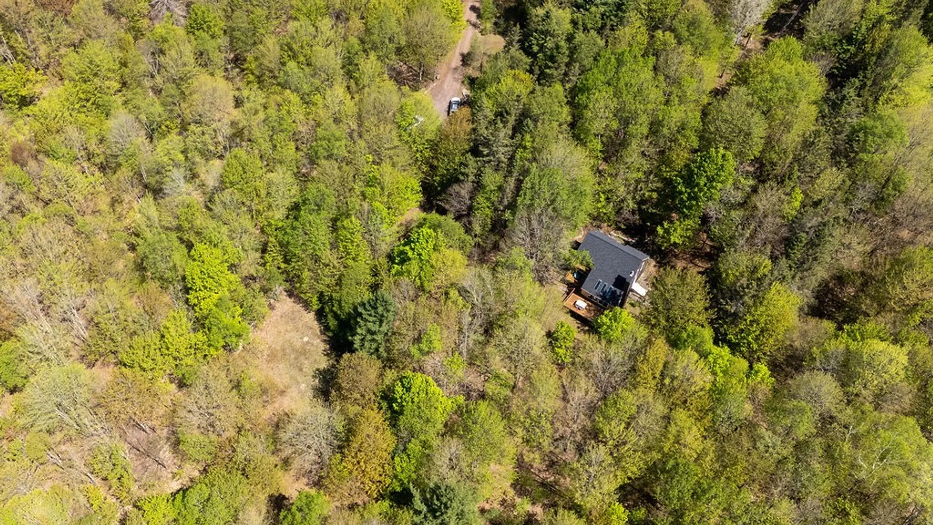 Property at 154 Townsend Extension, Bovina, NY 13740 8