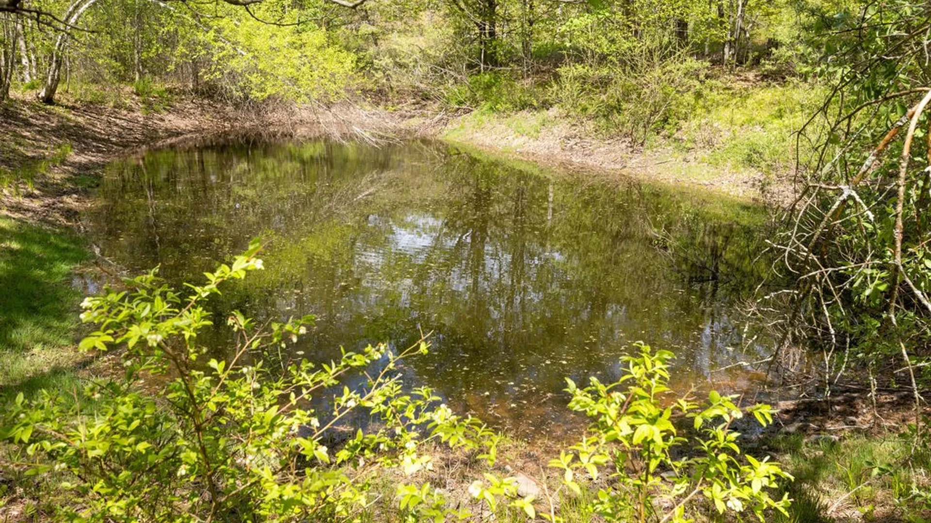 Property at 154 Townsend Extension, Bovina, NY 13740 13