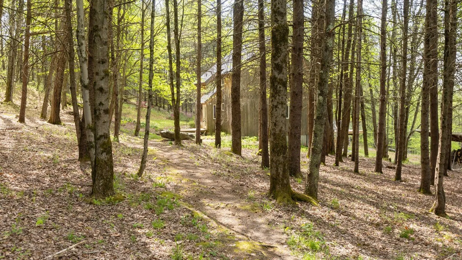 Property at 154 Townsend Extension, Bovina, NY 13740 15
