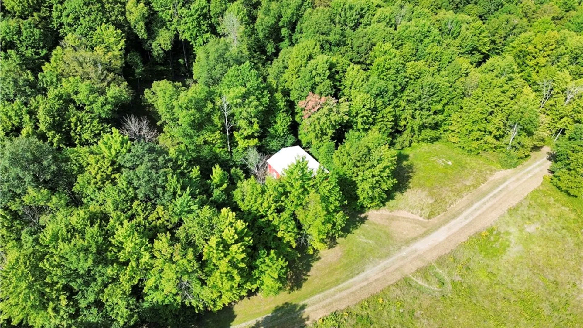 Property at 319 Hosier Road, Davenport, NY 13820 30